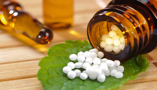 World Homeopathy Day